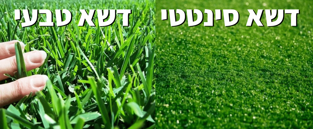 דשא סינטטי ודשא טבעי