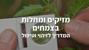 המדריך המלא למזיקים ומחלות בצמחים
