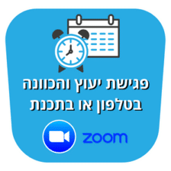 פגישת יעוץ