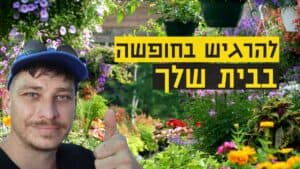 עיצוב גינה עשה זאת בעצמך - עיצוב גינה בבית פרטי