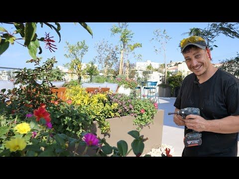 איך בונים מרפסת גן? טיימלפס מושלם