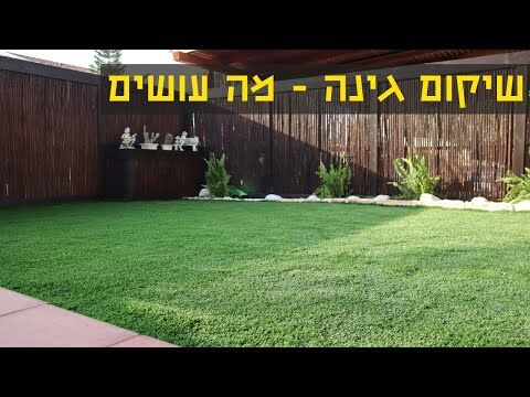 שיקום גינה אחרי 8 שנים ובדיוק תפסתי אותם על חם